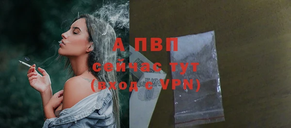 PSILOCYBIN Верхний Тагил