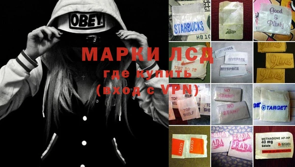 мдпв Бородино