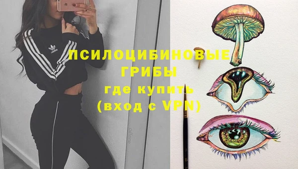 гидропоника Россошь