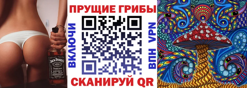 Галлюциногенные грибы Psilocybe  купить наркотики цена  Коммунар 